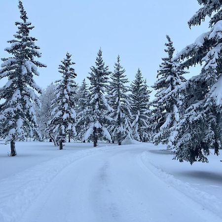 Rolling Hills Country Resort Bed And Breakfast Three Hills Экстерьер фото
